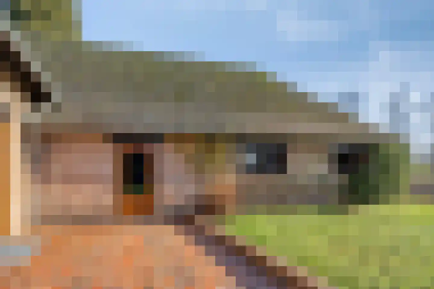 Deurneseweg 45 Heide thumbnail 28