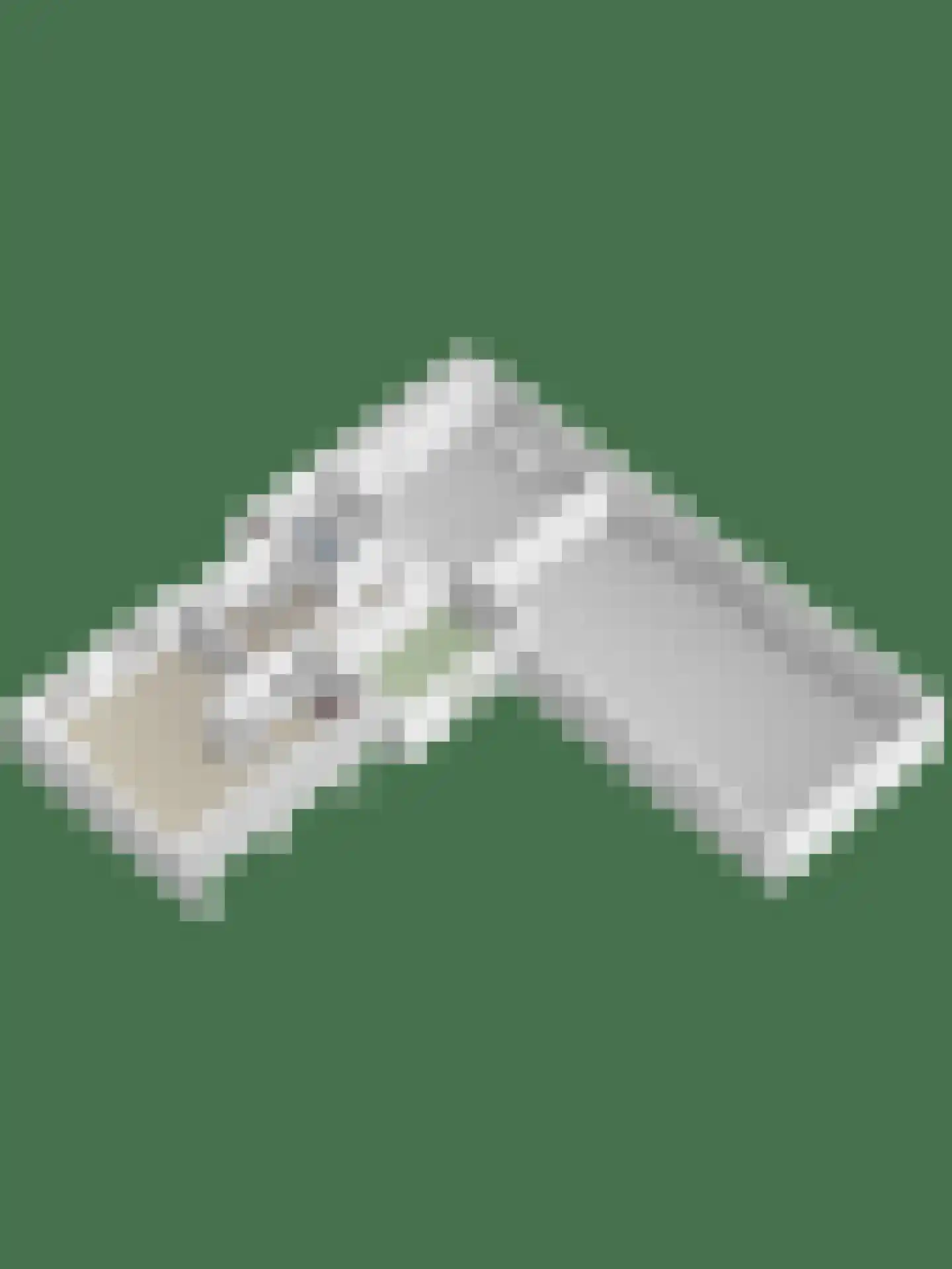 Deurneseweg 45 Heide thumbnail 38