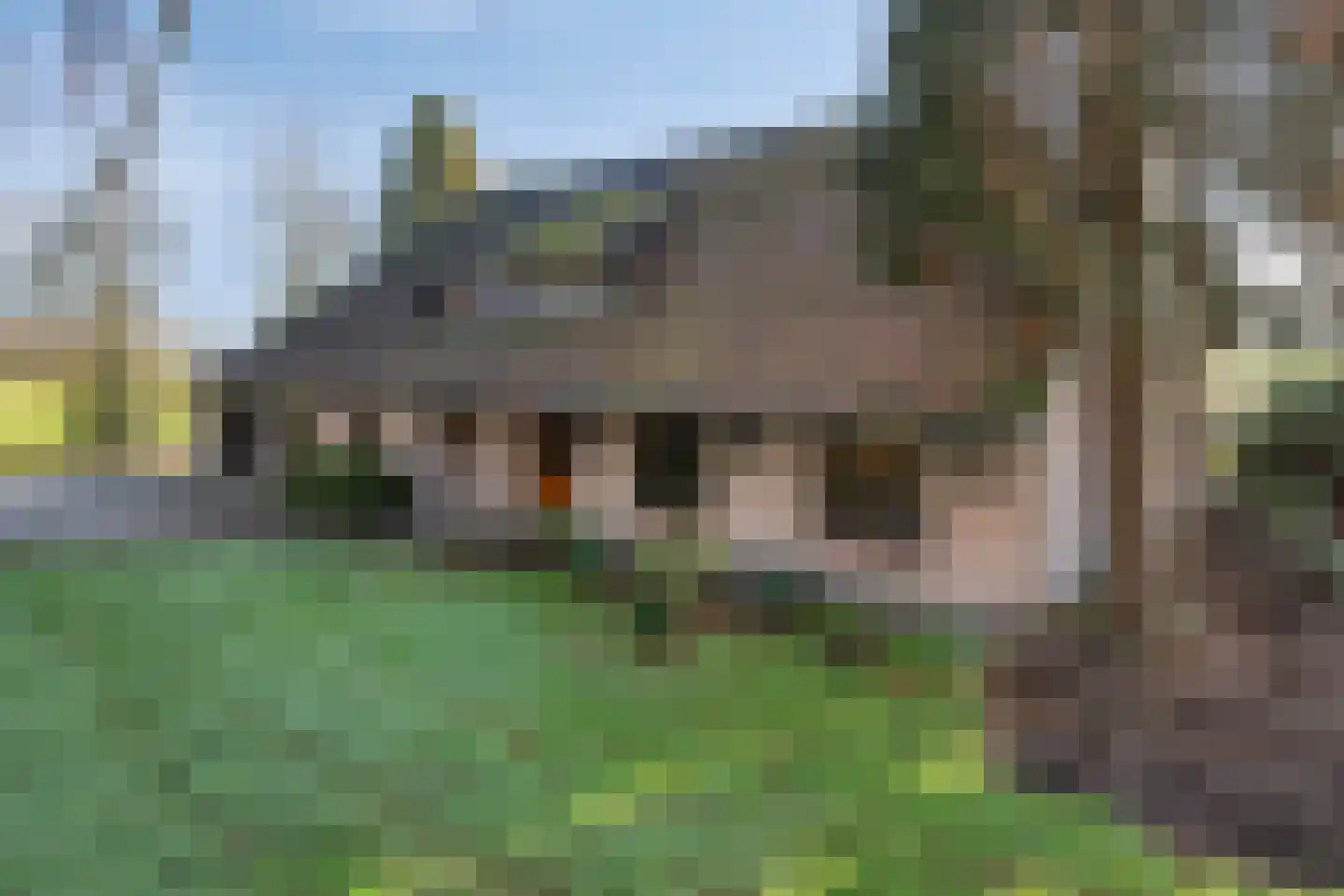 Deurneseweg 45 Heide thumbnail 4