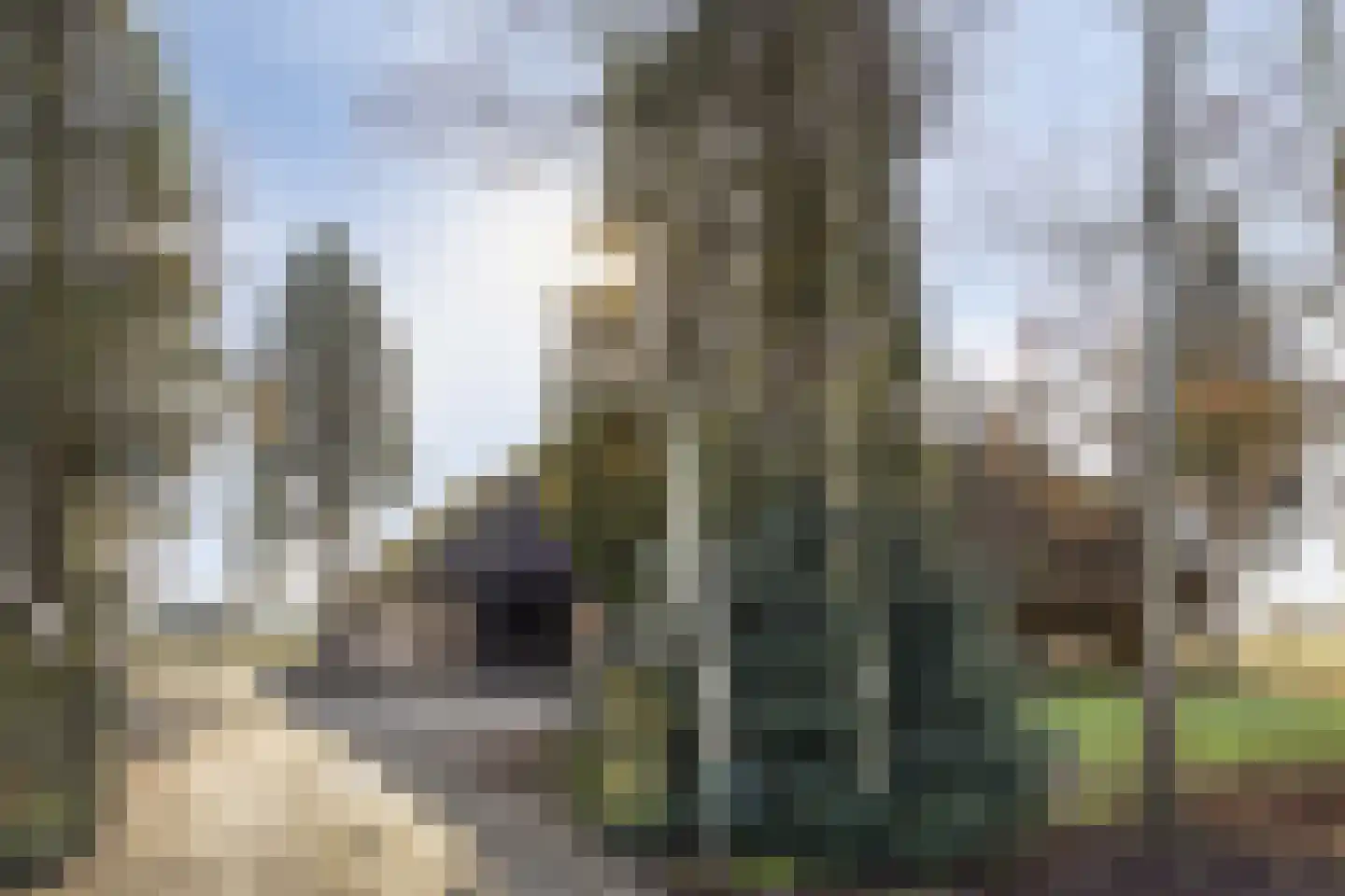 Deurneseweg 45 Heide thumbnail 5