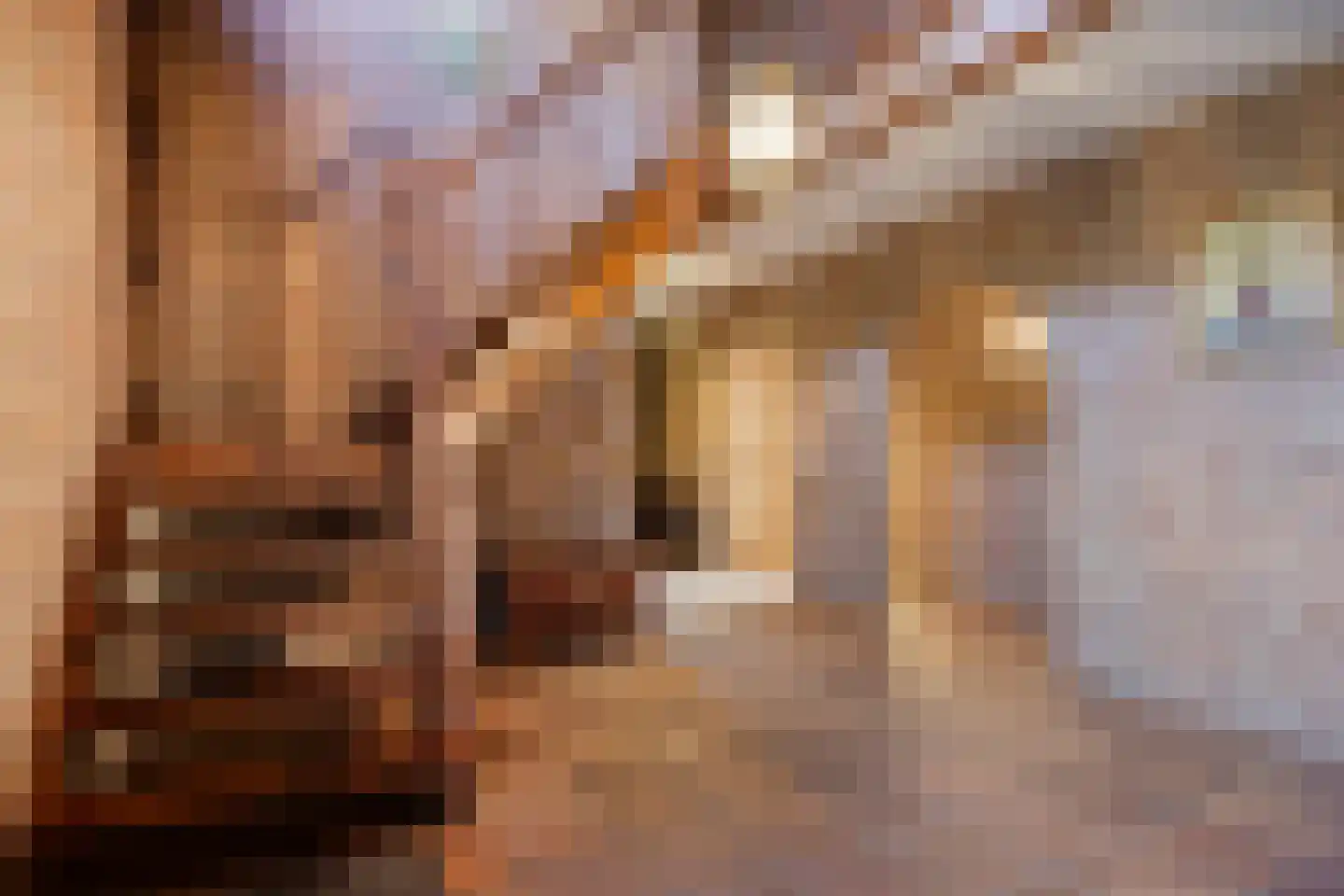 Deurneseweg 45 Heide thumbnail 6