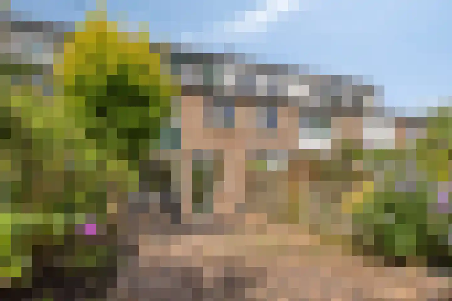Deurnestraat 107 Arnhem thumbnail 8
