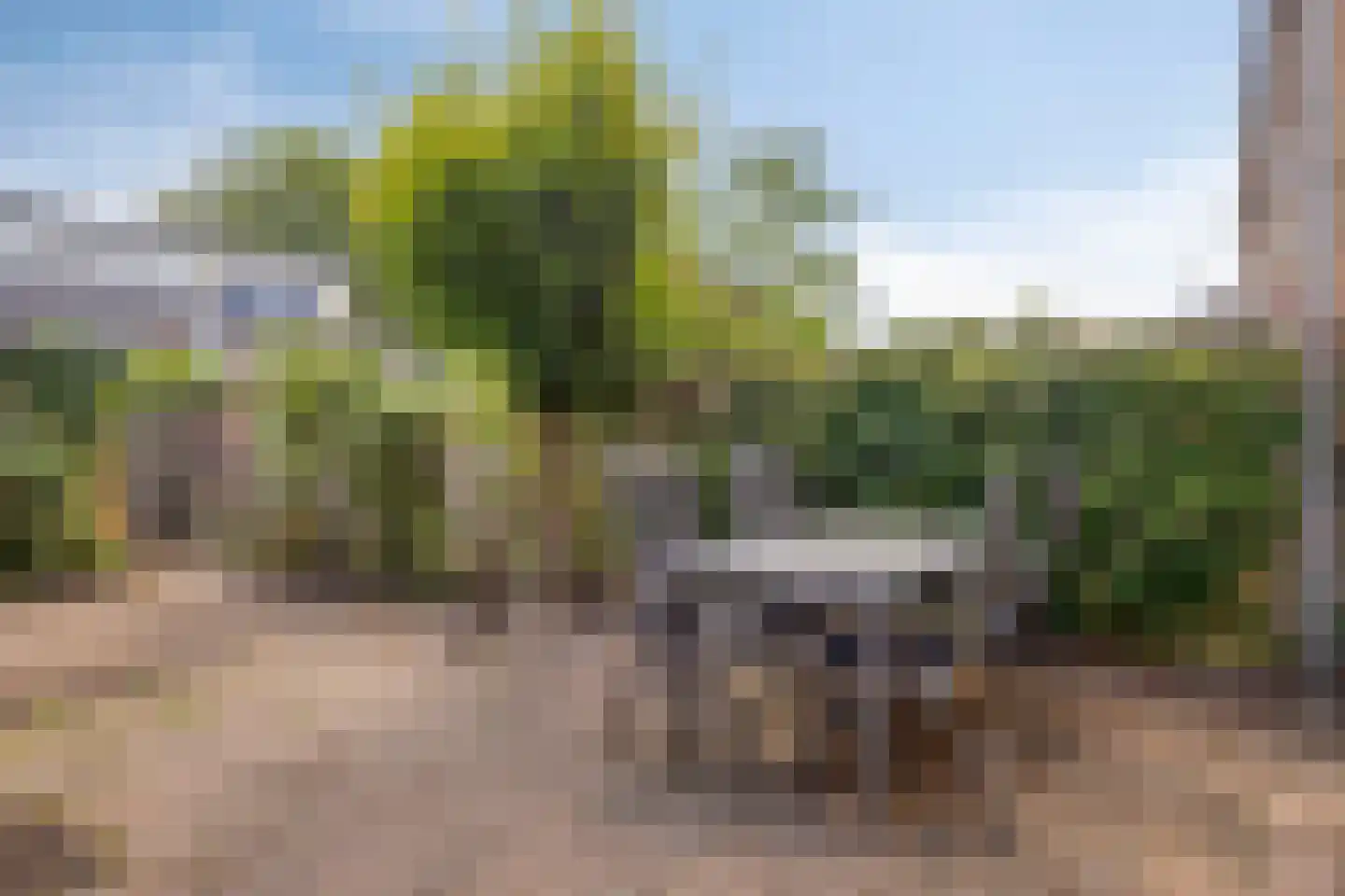 Deurnestraat 107 Arnhem thumbnail 9