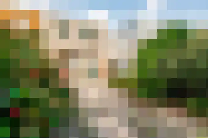 Deurnestraat 50 Almere thumbnail 25
