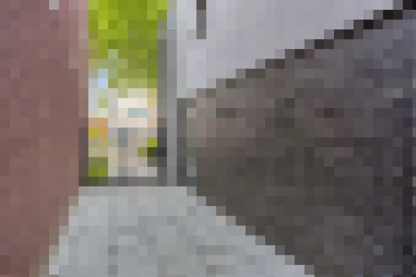 Deurningerstraat 130 Enschede thumbnail 48