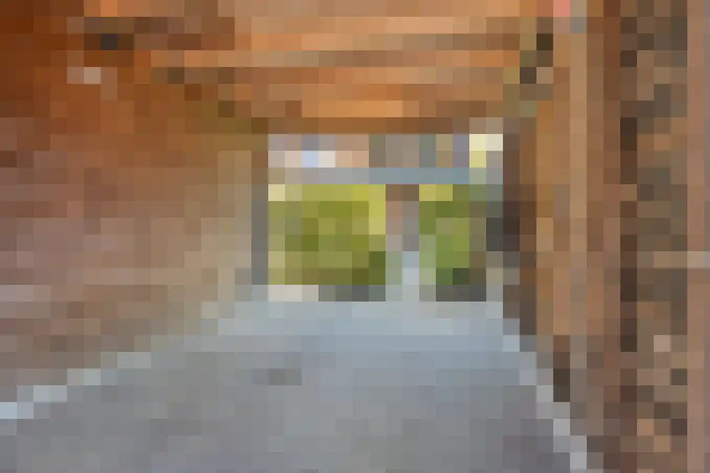 Deurningerstraat 151 Enschede thumbnail 40