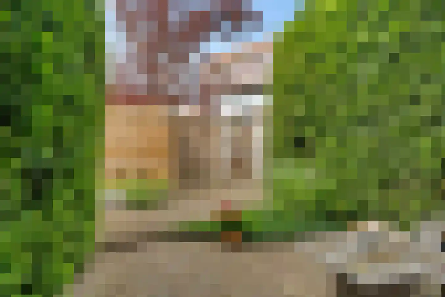 Deurningerstraat 203 Enschede thumbnail 34