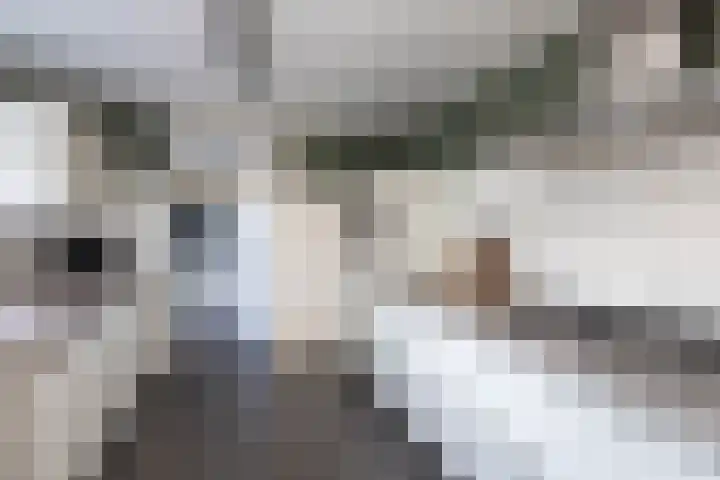 Deurningerstraat 21 Hengelo thumbnail 13