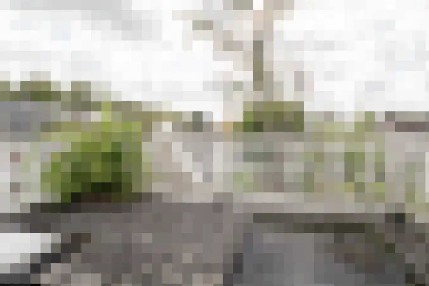 Deurningerstraat 224 Hengelo thumbnail 25