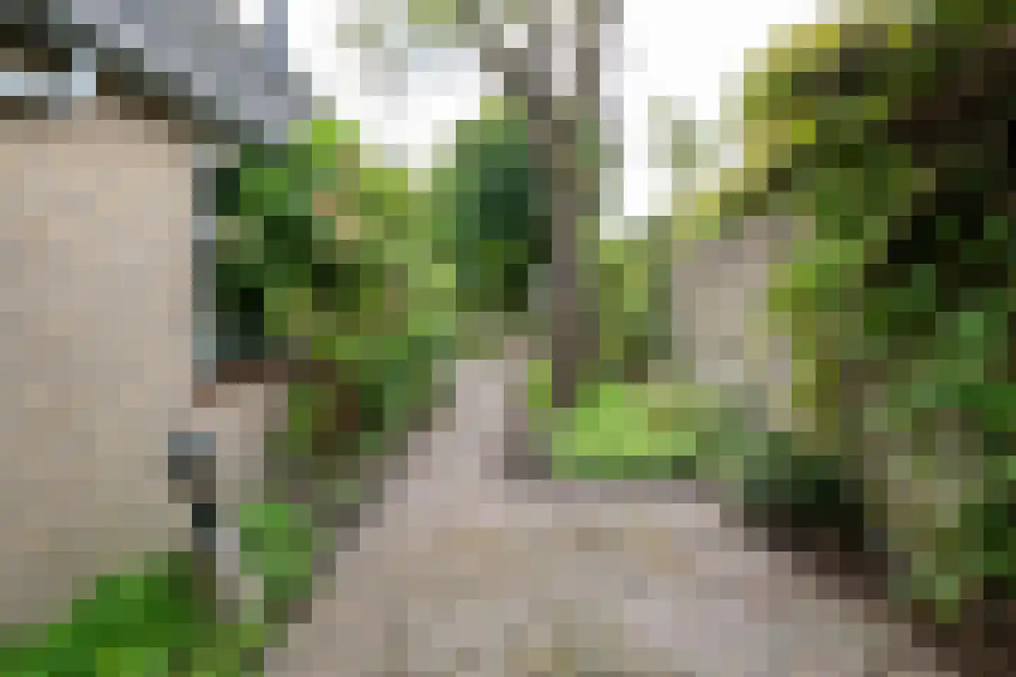 Deurningerstraat 224 Hengelo thumbnail 37