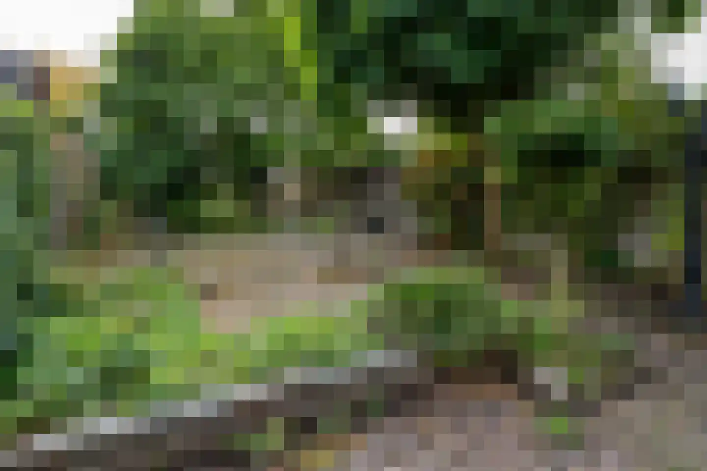 Deurningerstraat 224 Hengelo thumbnail 38