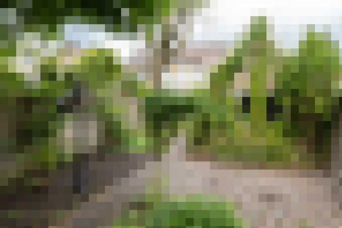 Deurningerstraat 224 Hengelo thumbnail 39