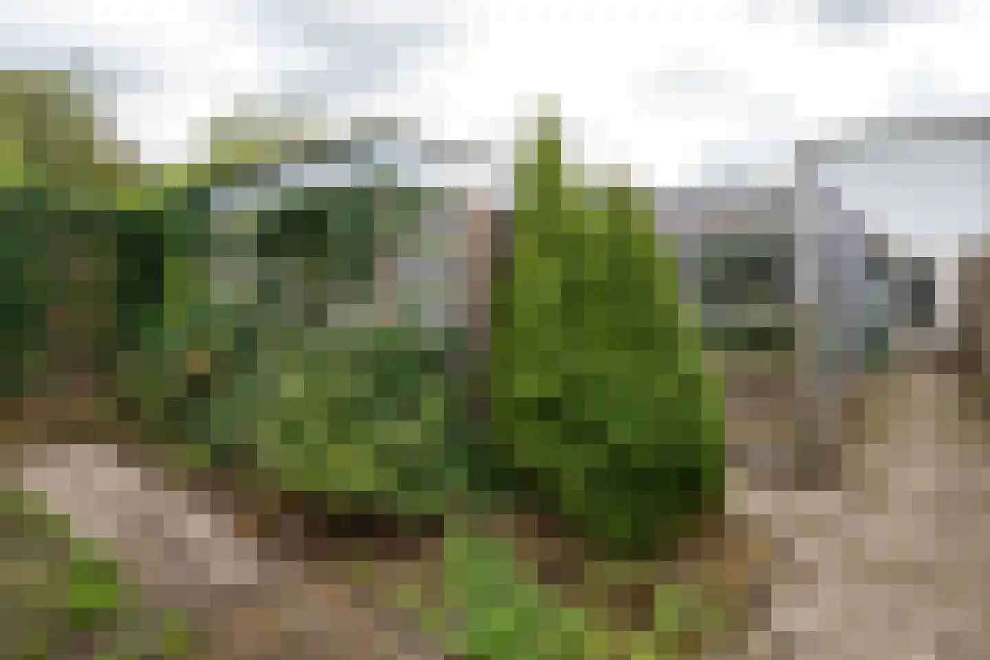 Deurningerstraat 224 Hengelo thumbnail 44