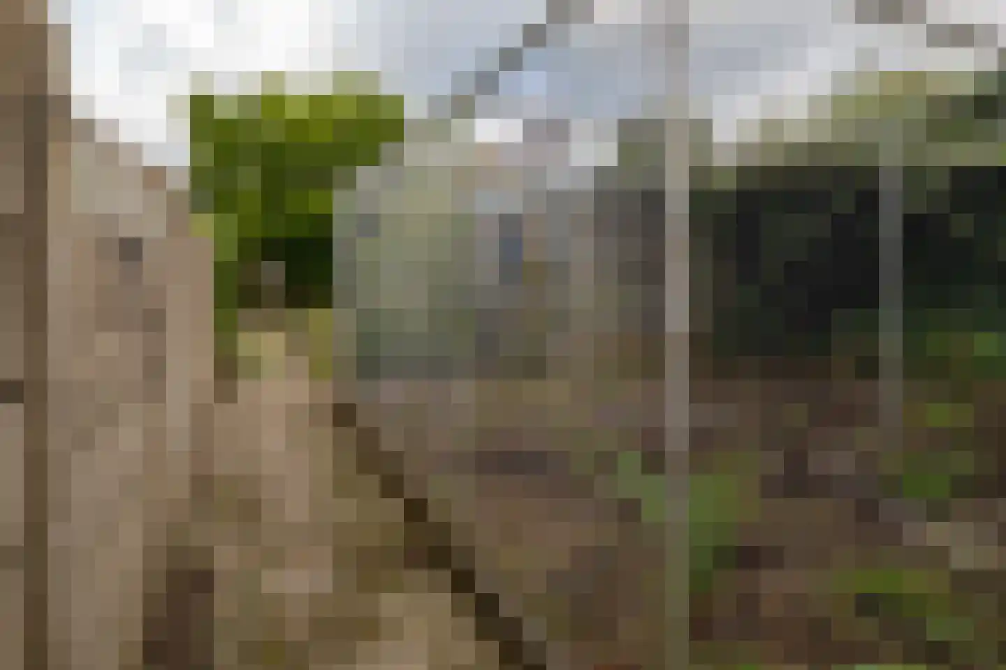 Deurningerstraat 224 Hengelo thumbnail 45
