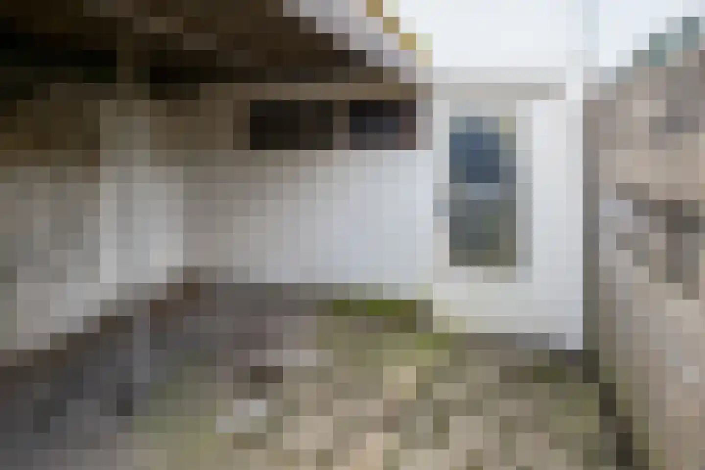 Deurningerstraat 224 Hengelo thumbnail 46