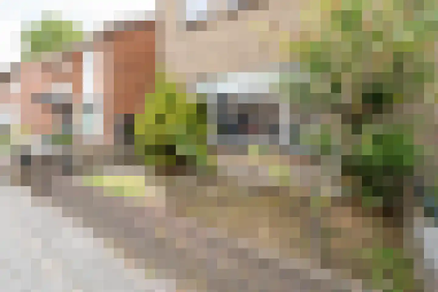 Deurningerstraat 224 Hengelo thumbnail 50