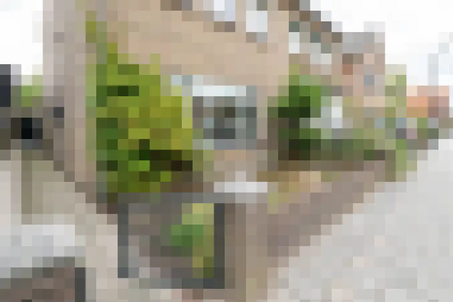 Deurningerstraat 224 Hengelo thumbnail 51
