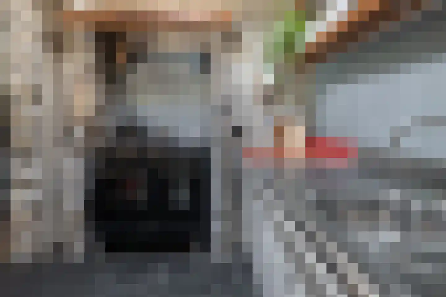 Deurningerstraat 264 Hengelo thumbnail 16