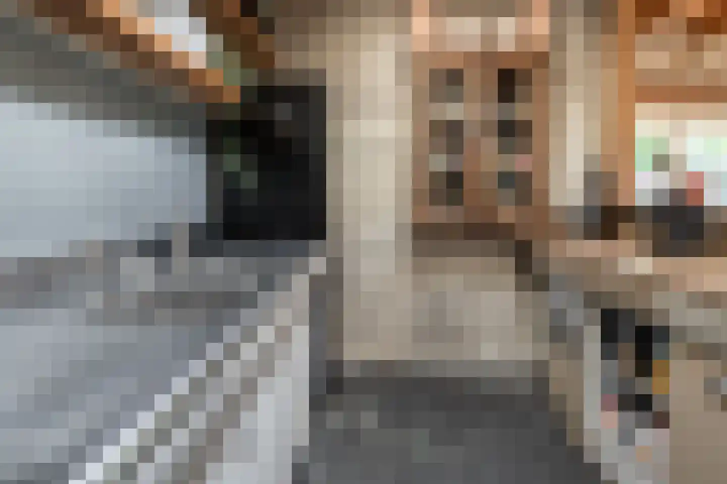 Deurningerstraat 264 Hengelo thumbnail 17