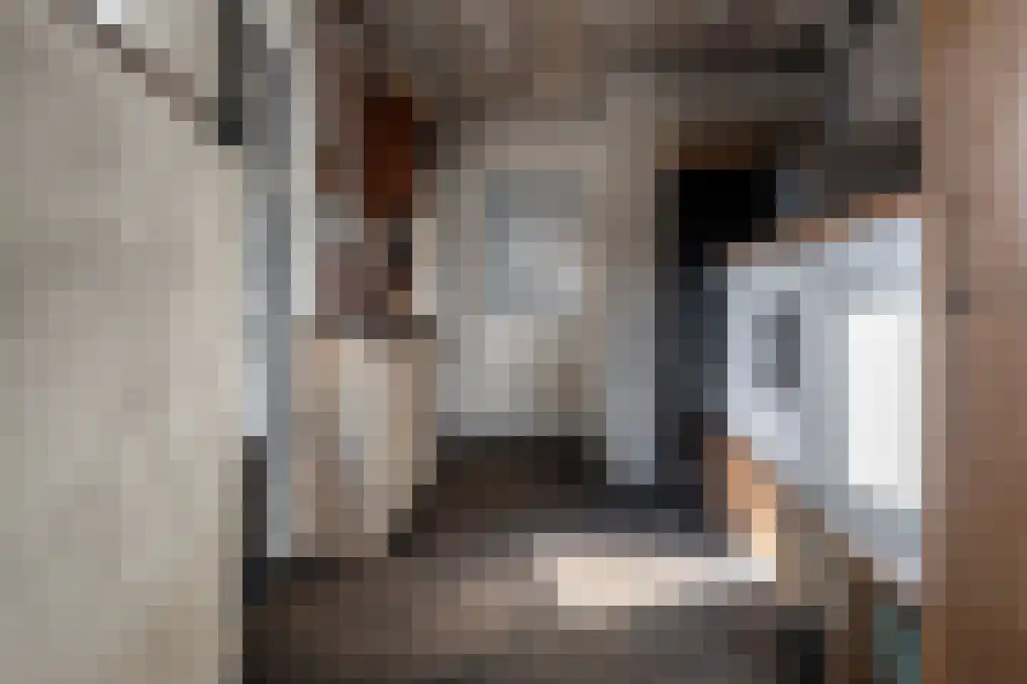 Deurningerstraat 264 Hengelo thumbnail 21
