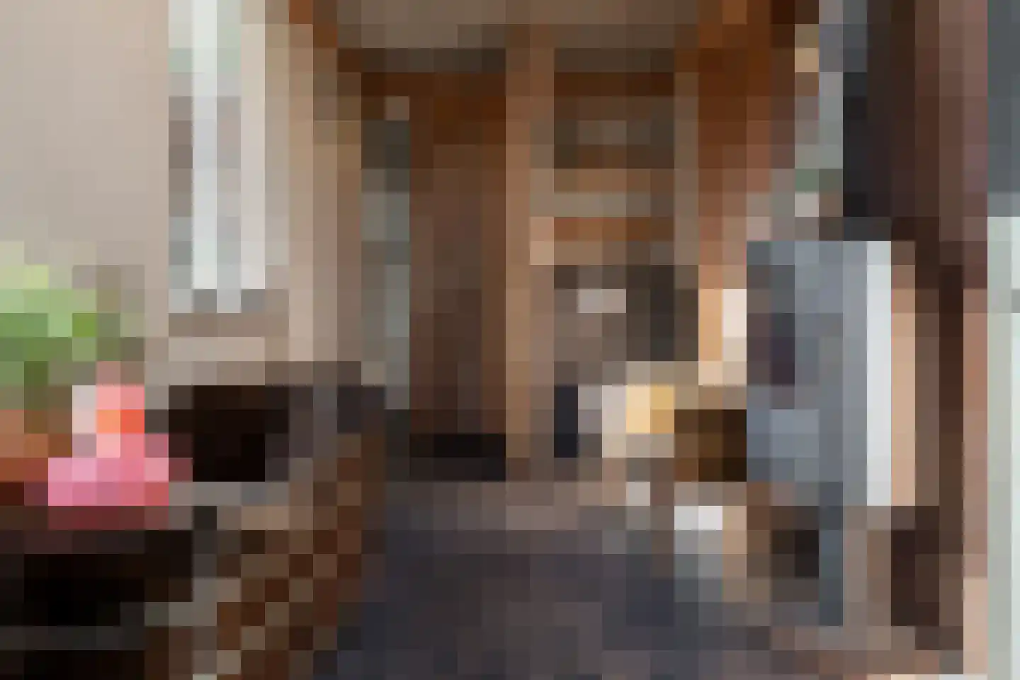 Deurningerstraat 264 Hengelo thumbnail 23