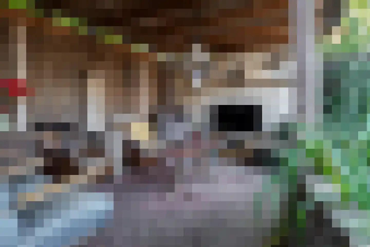 Deurningerstraat 264 Hengelo thumbnail 31