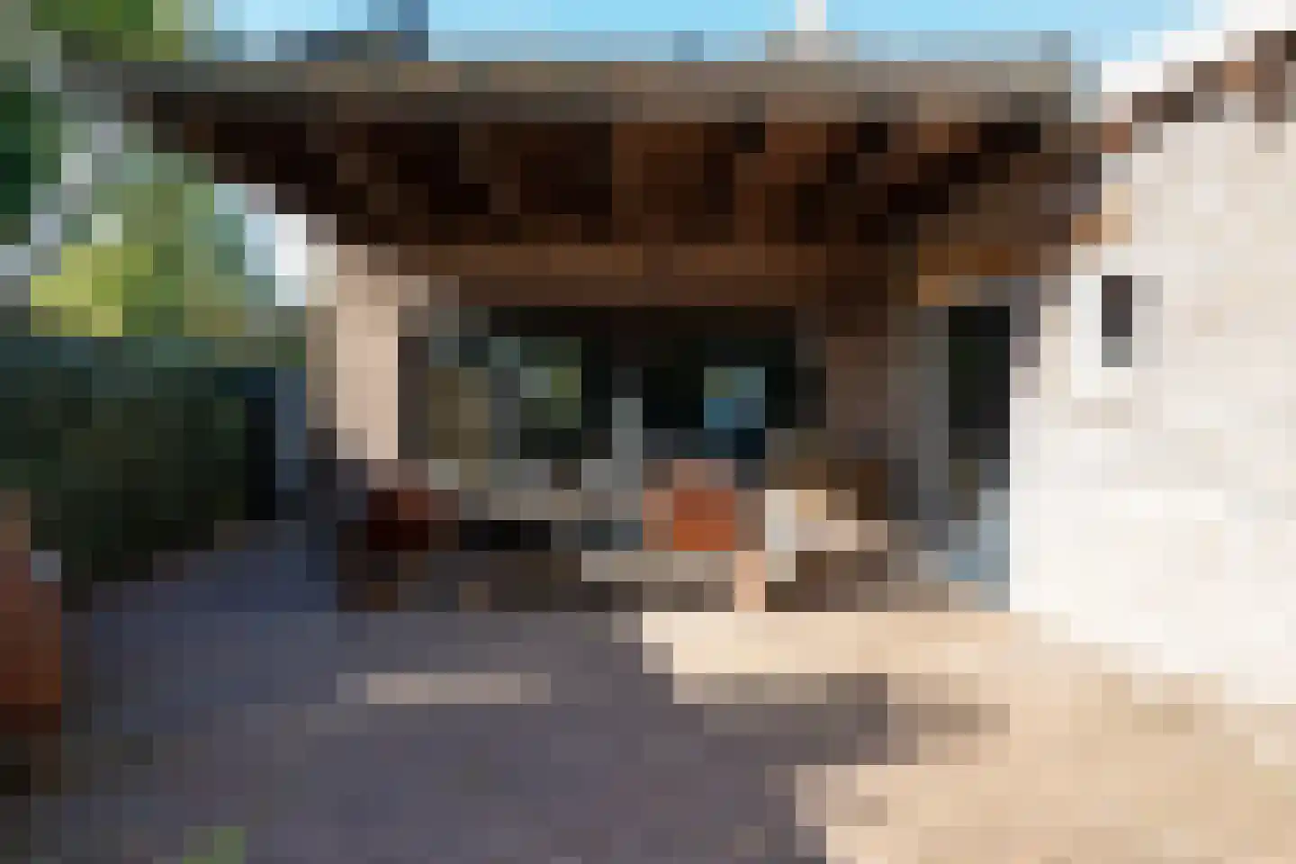 Deurningerstraat 264 Hengelo thumbnail 41
