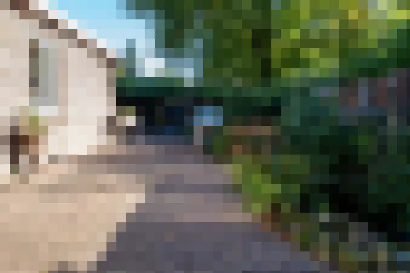 Deurningerstraat 264 Hengelo thumbnail 44