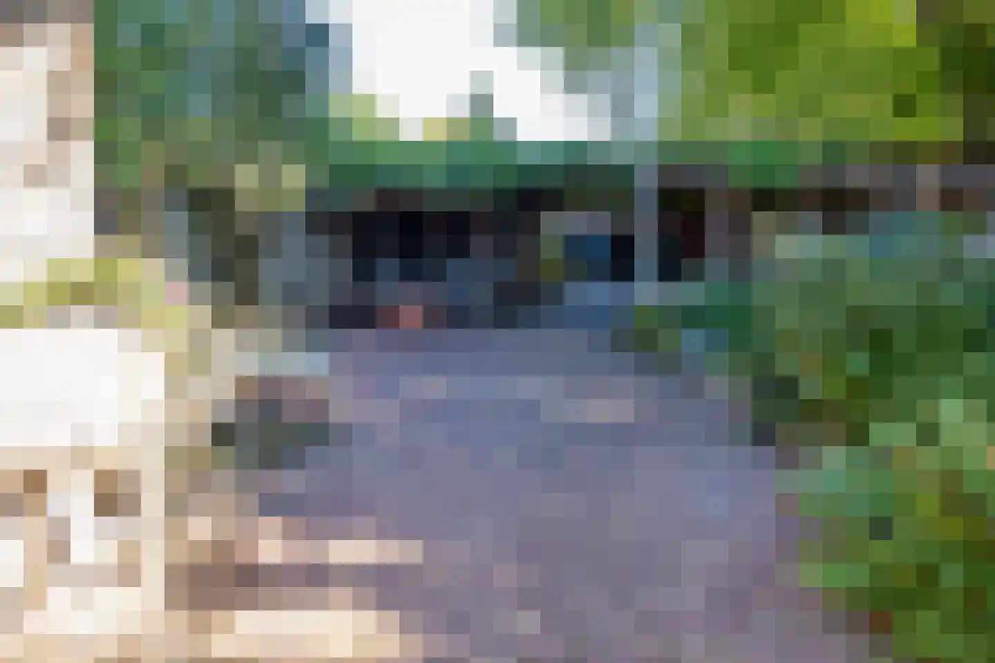 Deurningerstraat 264 Hengelo thumbnail 45