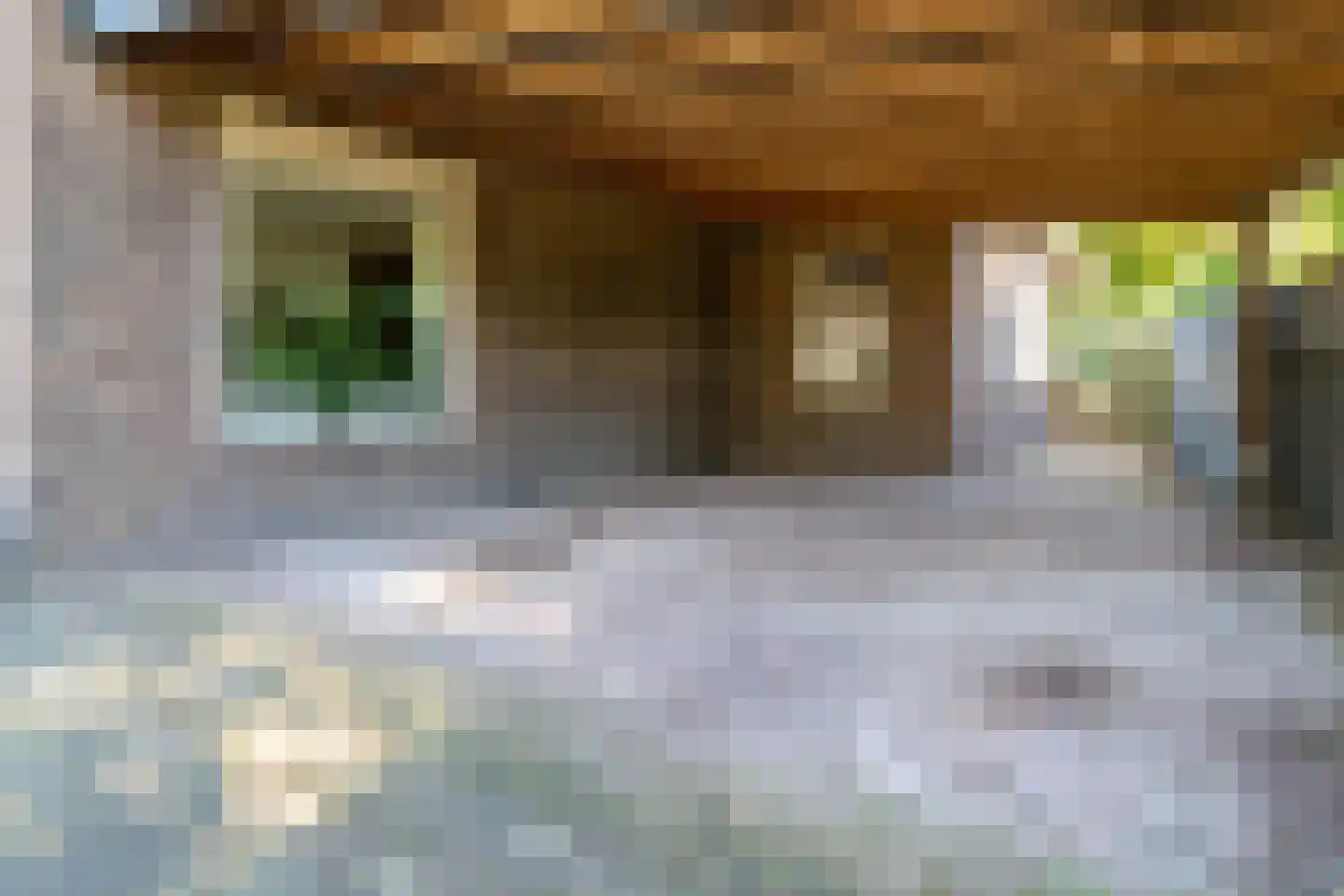 Deurningerstraat 264 Hengelo thumbnail 58