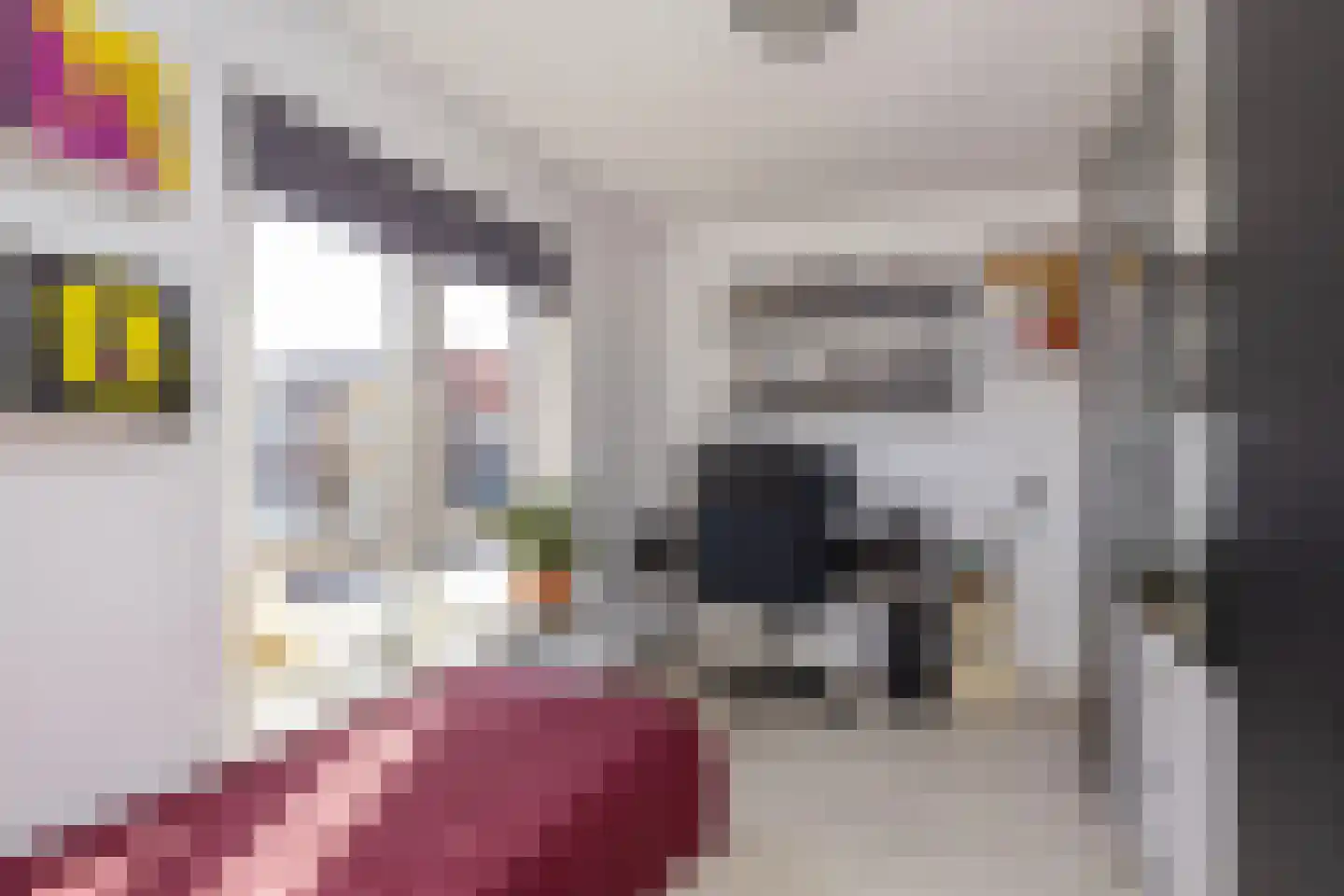 Deurningerstraat 307 Enschede thumbnail 18