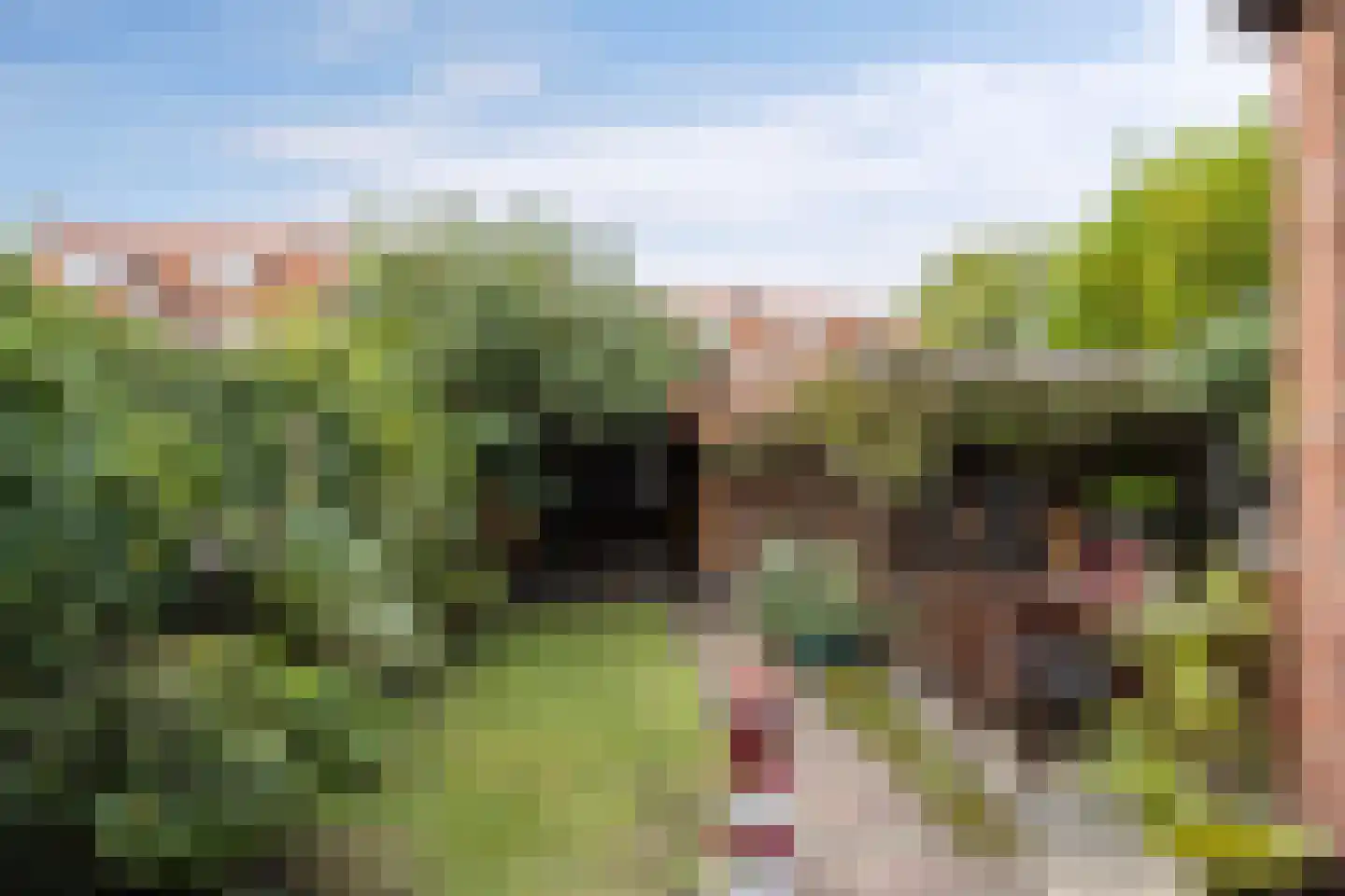 Deurningerstraat 307 Enschede thumbnail 27