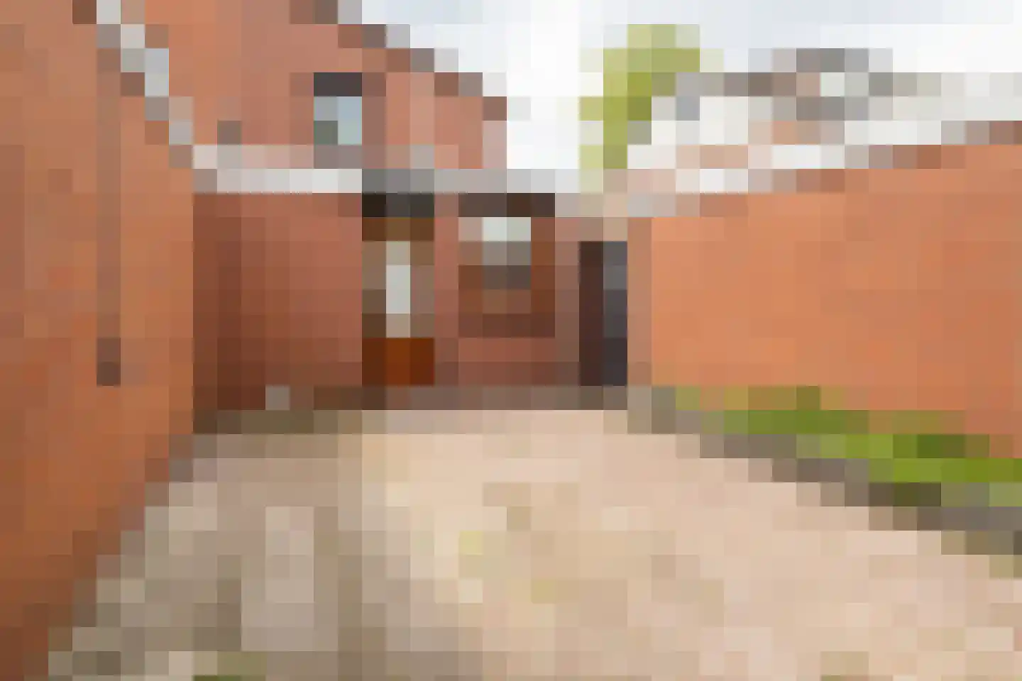 Deurningerstraat 436 Enschede thumbnail 30