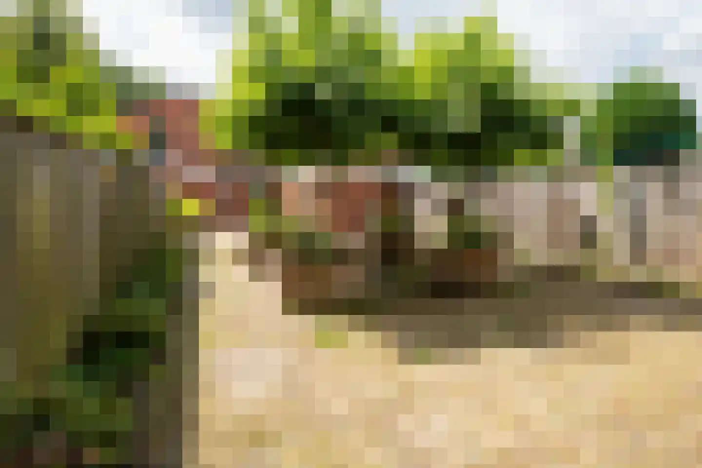 Deurningerstraat 436 Enschede thumbnail 40