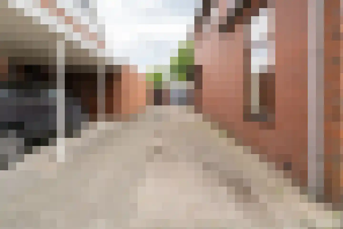Deurningerstraat 436 Enschede thumbnail 47