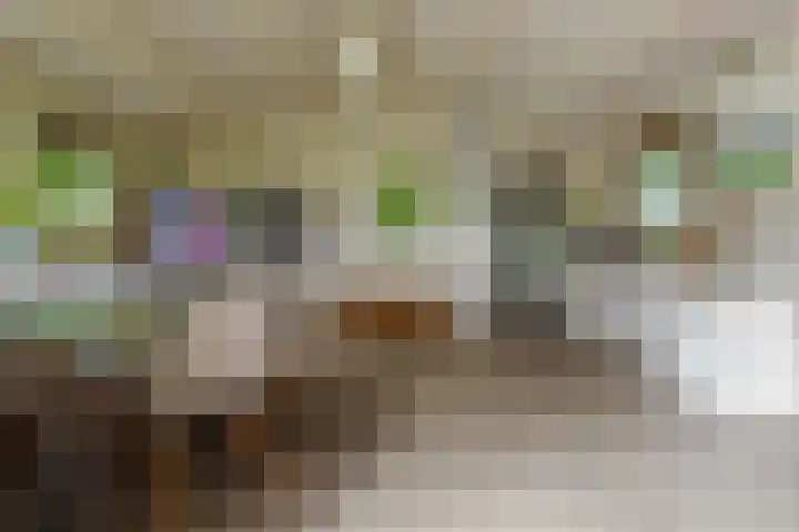 Deurningerstraat 48 Deurningen thumbnail 84