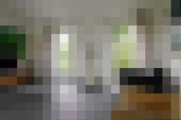 Deurningerstraat 48 Deurningen thumbnail 9