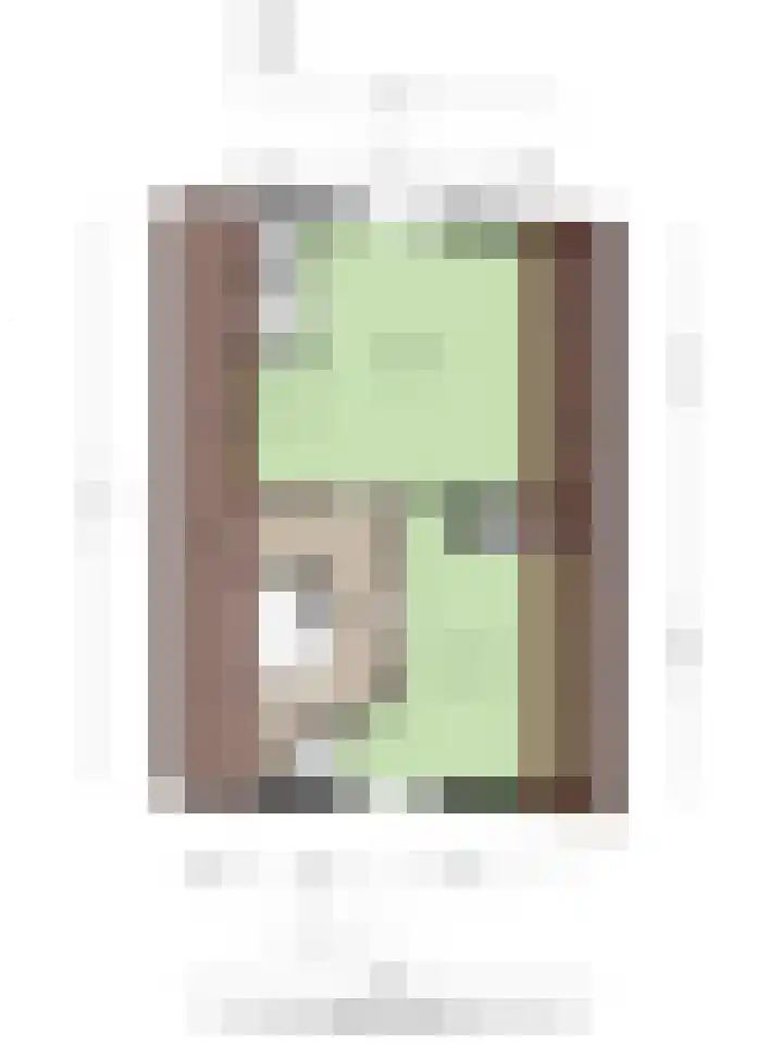 Deurningerstraat 9 Hengelo thumbnail 43