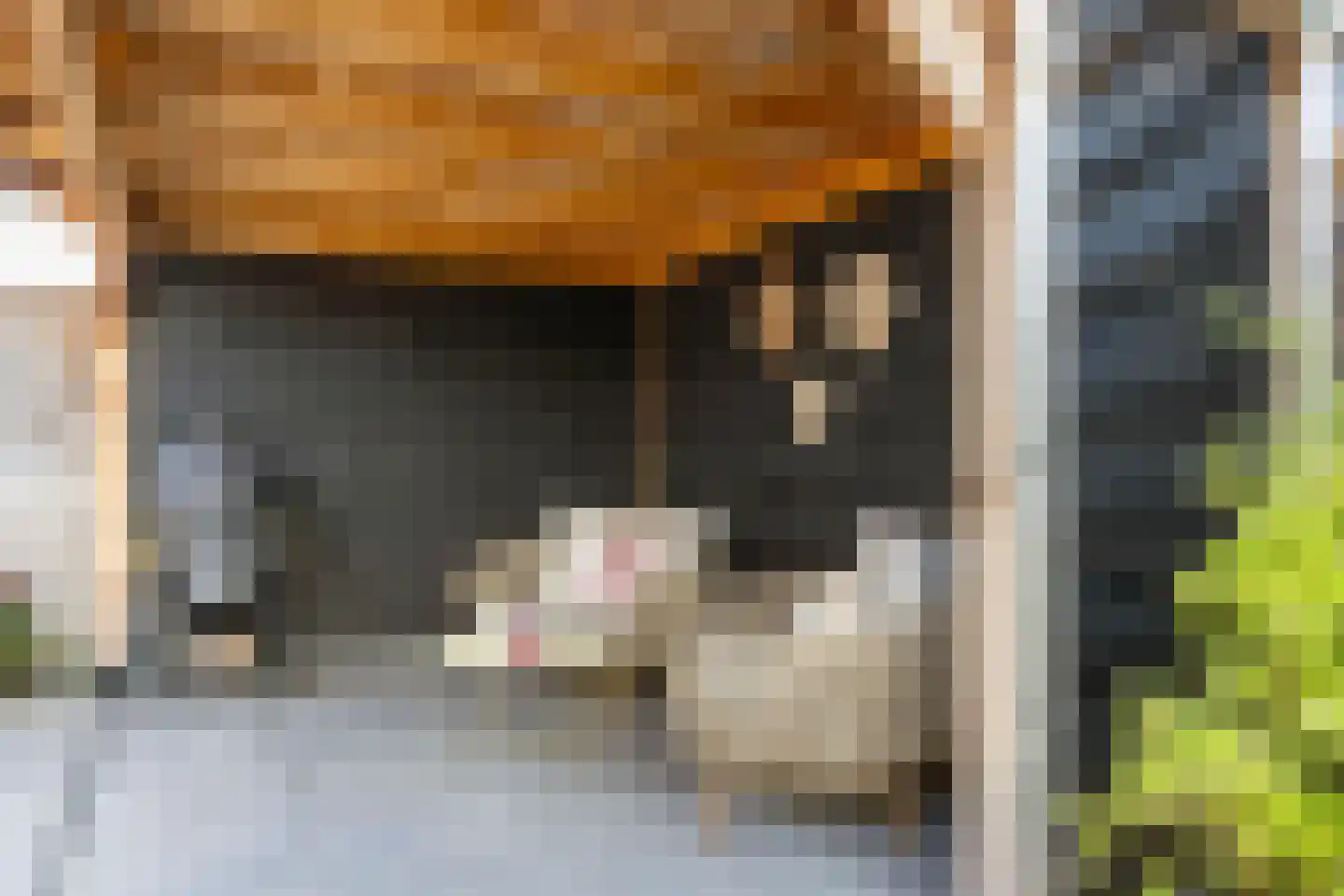 Deurningerweg 2 Borne thumbnail 39
