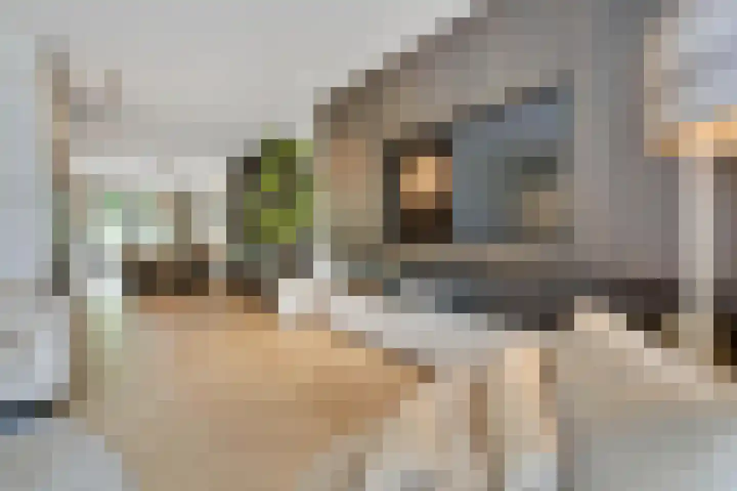 Deurningerweg 4 Borne thumbnail 11