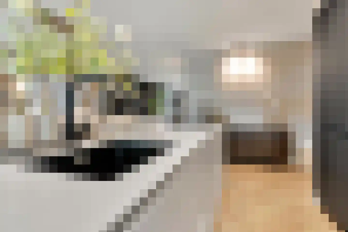 Deurningerweg 4 Borne thumbnail 18