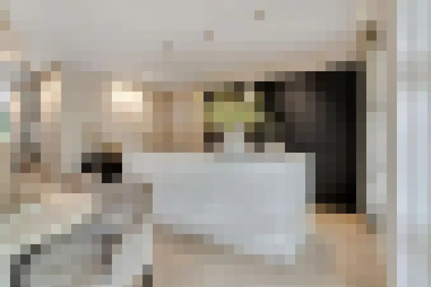 Deurningerweg 4 Borne thumbnail 19