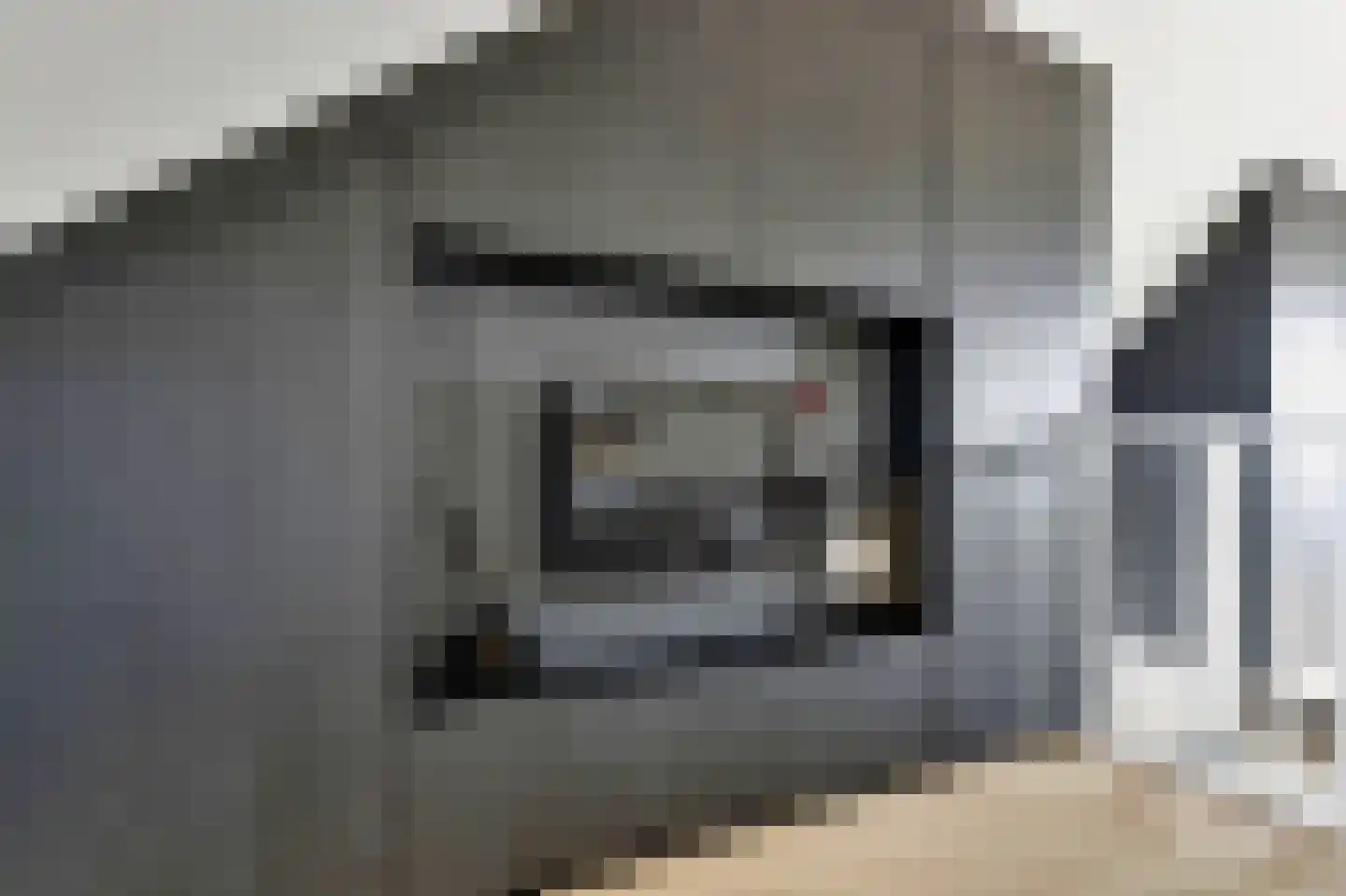 Deurningerweg 4 Borne thumbnail 34