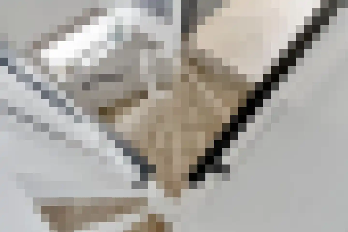Deurningerweg 4 Borne thumbnail 37