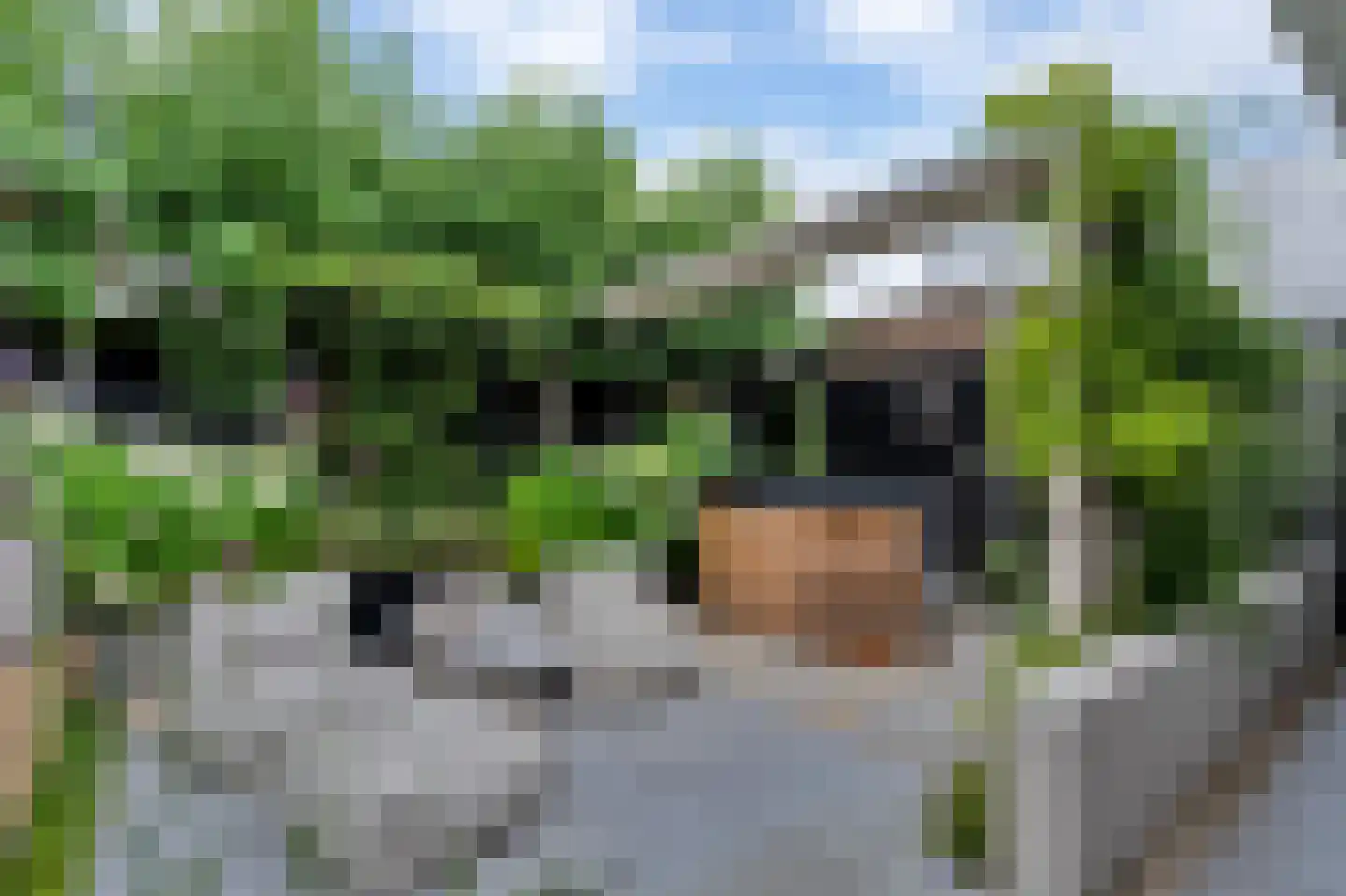 Deurningerweg 4 Borne thumbnail 39