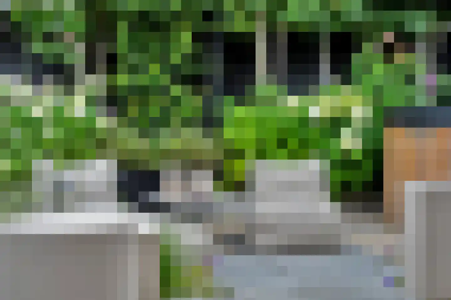 Deurningerweg 4 Borne thumbnail 40