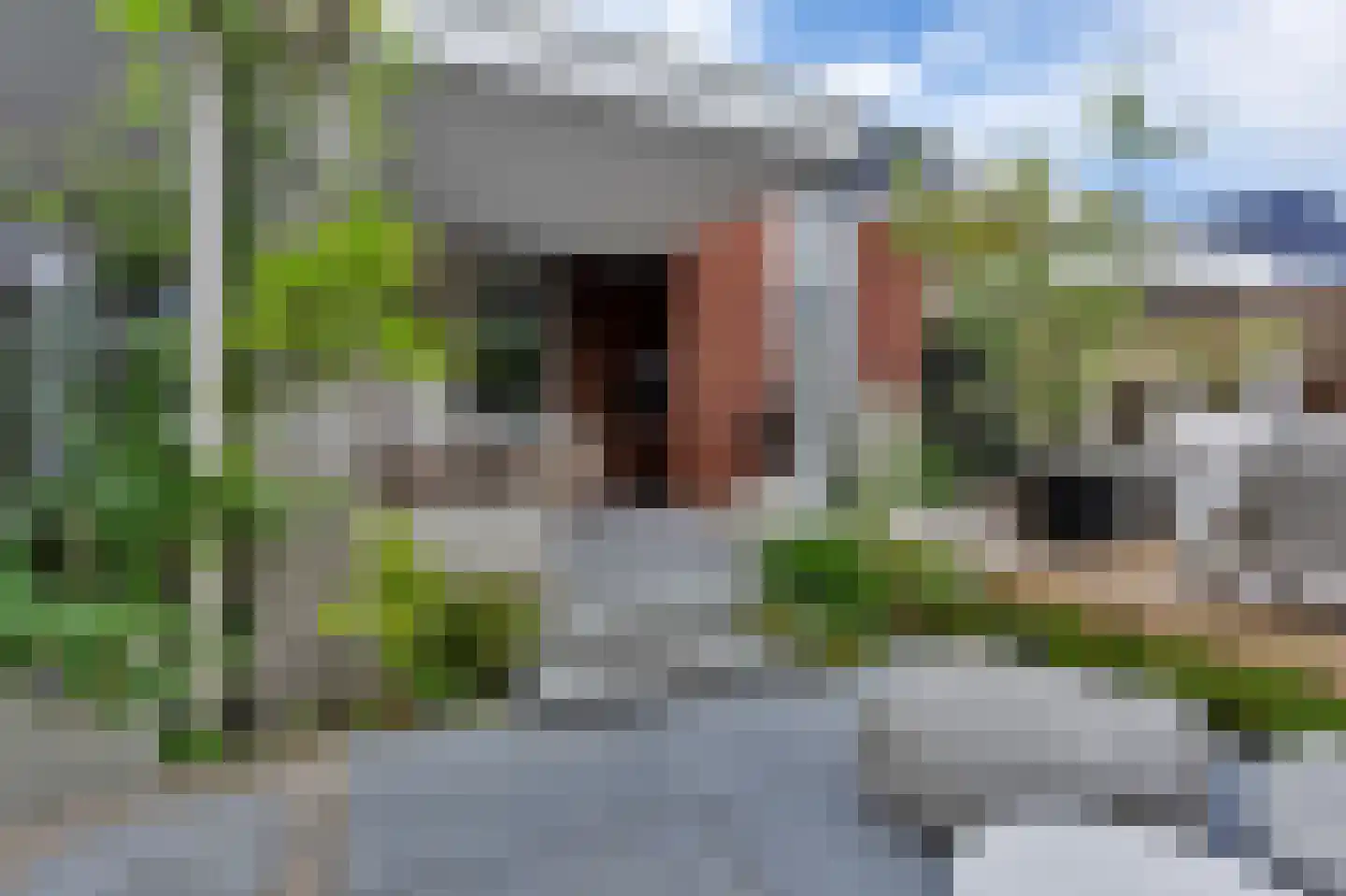 Deurningerweg 4 Borne thumbnail 43