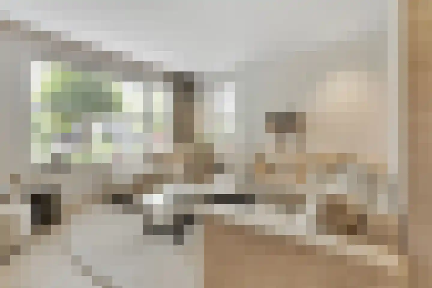 Deurningerweg 4 Borne thumbnail 8