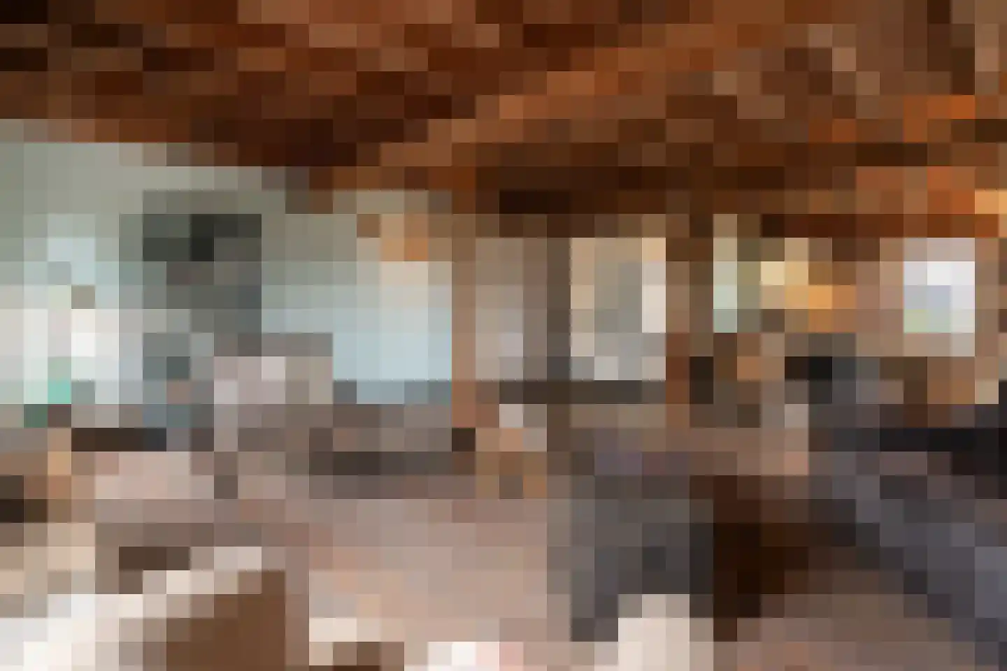 Deursenseweg 1 A Berghem thumbnail 10