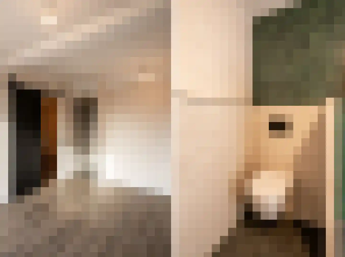 Deursenseweg 1 A Berghem thumbnail 16